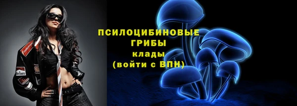 дмт Пестово