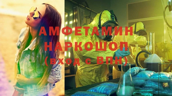 дмт Пестово