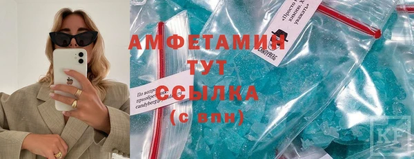 гидропоника Пересвет