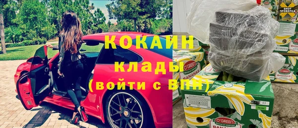 дмт Пестово