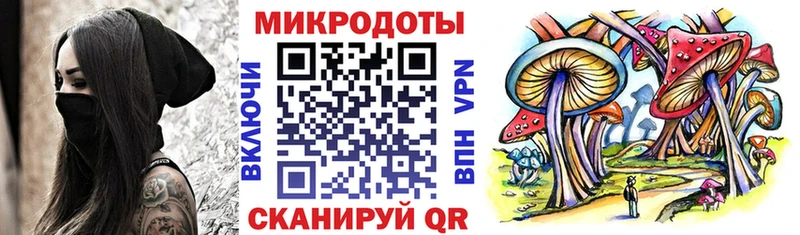 Купить закладки Александровское Галлюциногенные грибы MAGIC MUSHROOMS